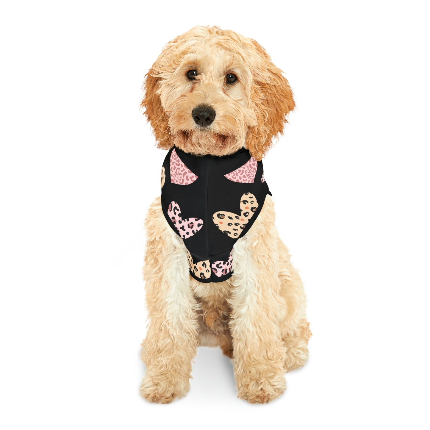 Fall Heart Pet Hoodie