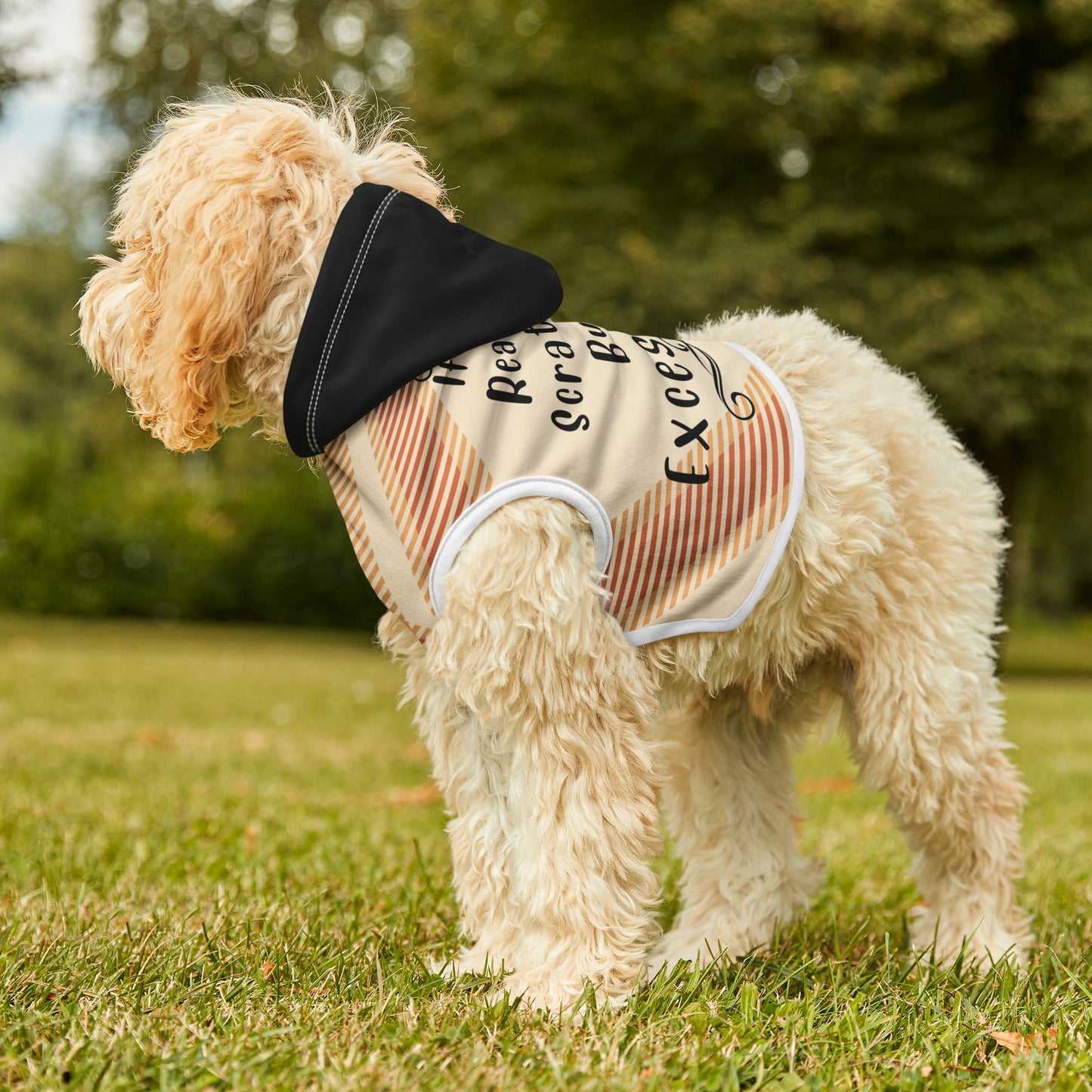 Fun Graphic Pet Hoodie