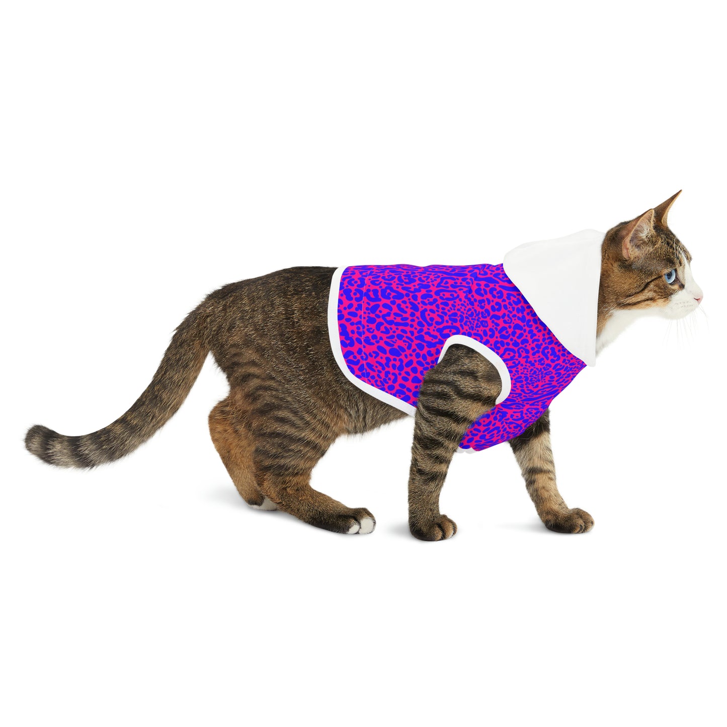 Vivid Graphic Pet Hoodie